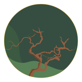 sree_vemuri643